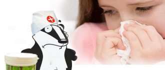 Badger fat for cough