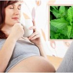 беременная женщина с мятным чаем