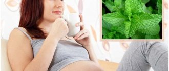 беременная женщина с мятным чаем