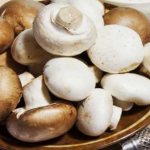Are there false champignons?