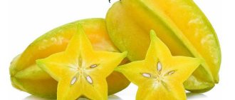 What is carambola fruit?