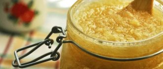 Хрен с медом – польза и противопоказания, рецепт приготовления