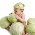 what are the medicinal properties of cabbage leaves
