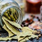 Bay leaf for hair growth and hair loss