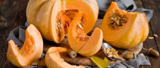Folk treatment of the liver with pumpkin for cirrhosis and obesity