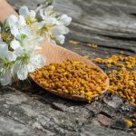 Пчелиная пыльца – полезные свойства, как принимать