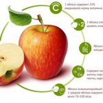 beneficial properties of apples