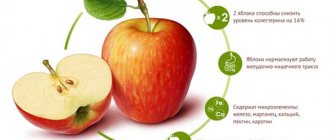 beneficial properties of apples