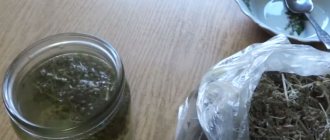Recipe for making wormwood tincture with vodka (alcohol, moonshine)