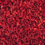 Goji berries are a superfood for weight loss and anti-aging. Benefits, harms, recipes 