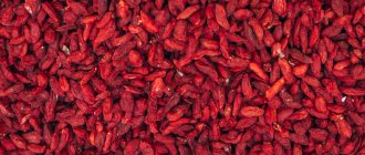 Goji berries are a superfood for weight loss and anti-aging. Benefits, harms, recipes 